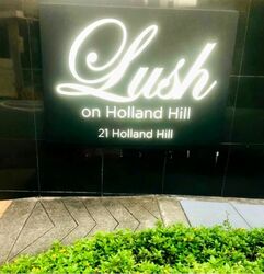Lush On Holland Hill (D10), Condominium #559706561